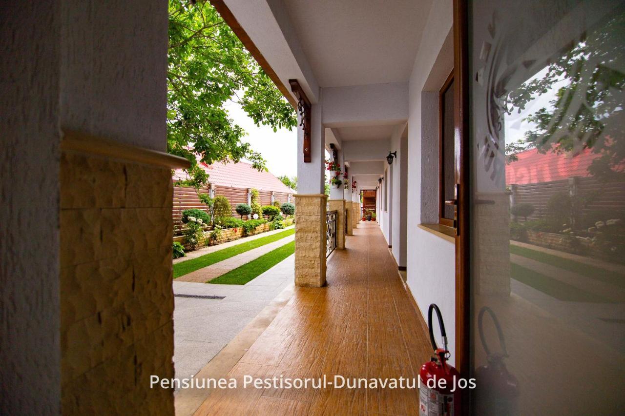 Pensiunea Pestisorul Dunavatu de Jos Exterior photo